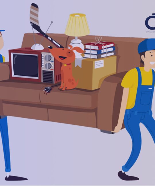 Pet Relocation In India Guide